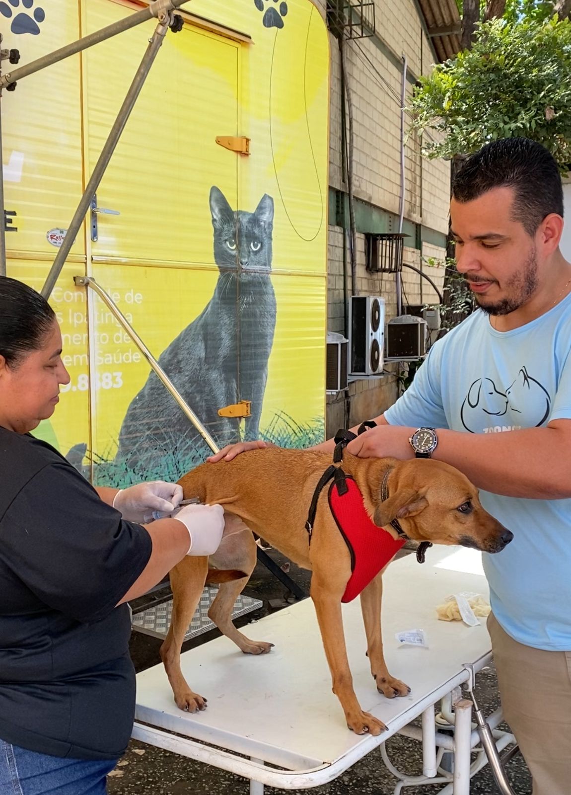 Ipatinga realiza Dia D de vacinação antirrábica neste sábado (30)